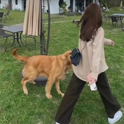 玉女情动
